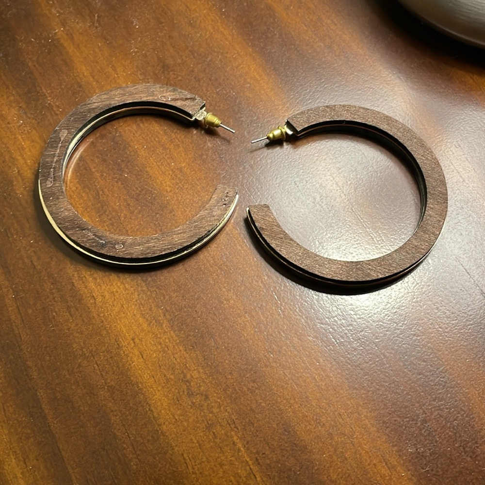 Green Tortoise Hoops - Picture 2 of 2